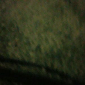 Meet your Posher, Joane