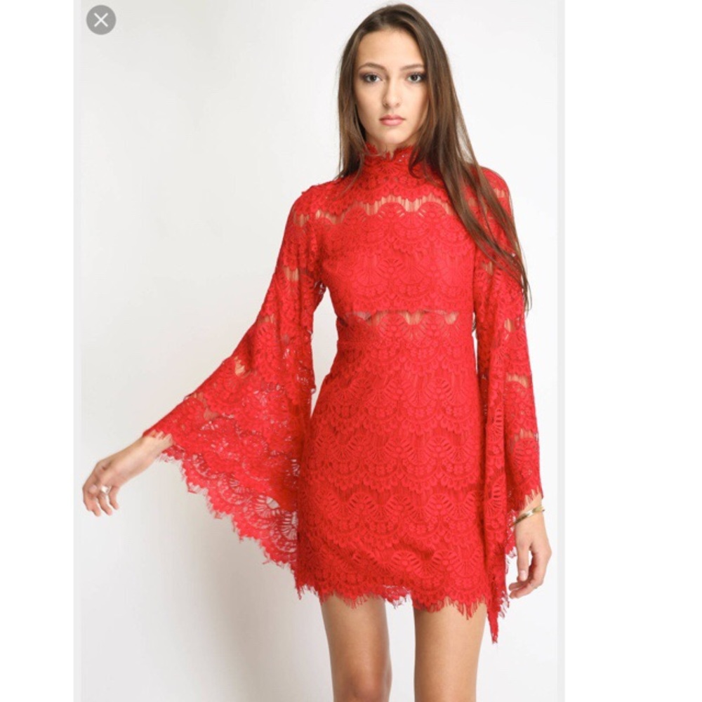 Drama Queen Lace Dress by Minkpink