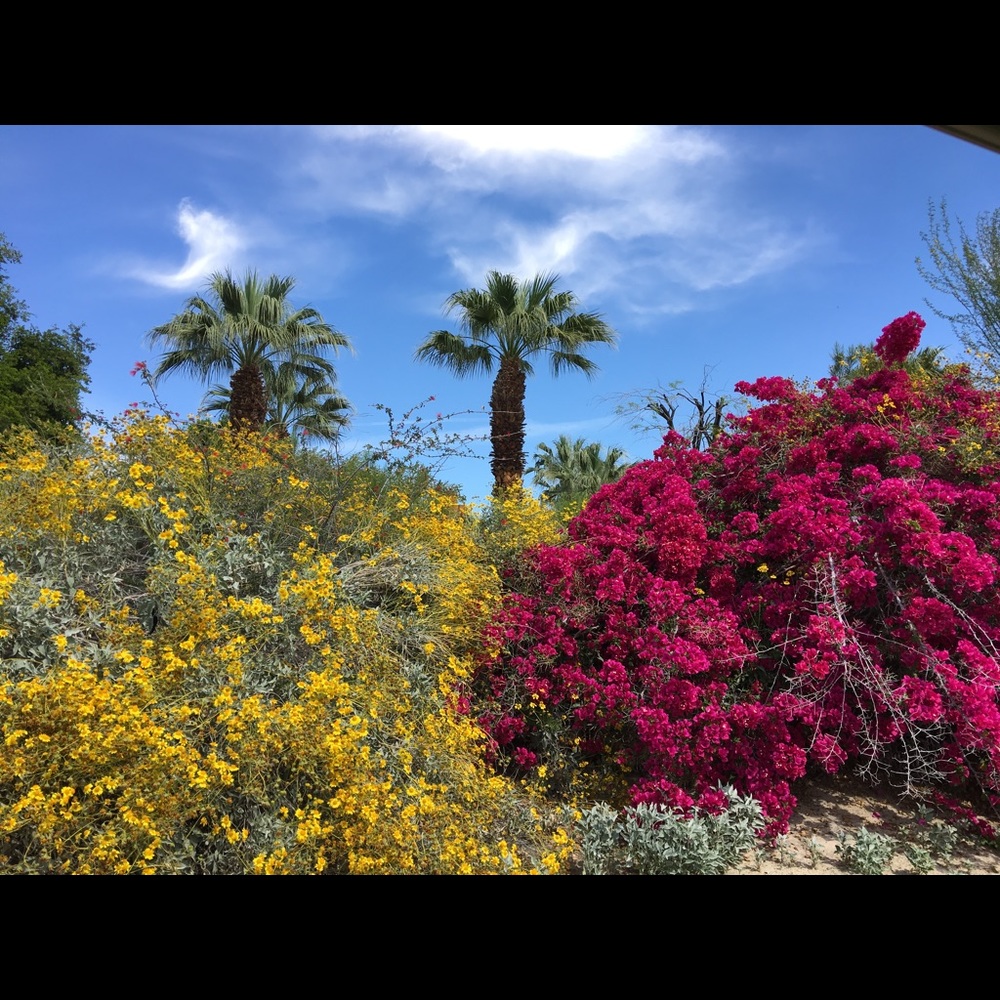 Meet your Posher, Deb