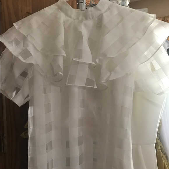 Sheer Blouse - Picture 1 of 1