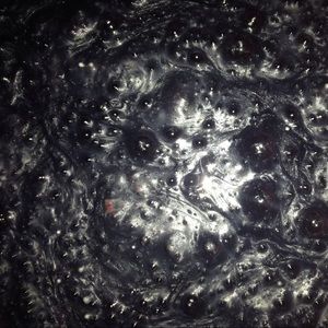 Meet your Posher, Jani