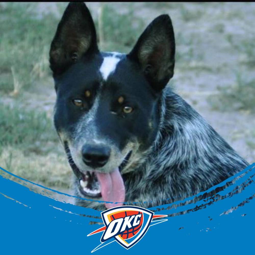 Meet your Posher, Keldon