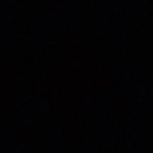 Meet your Posher, Steve