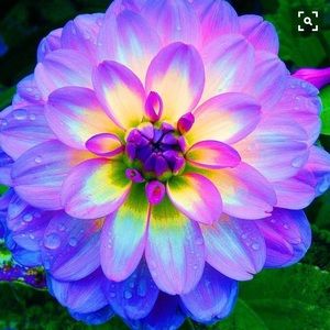 Meet your Posher, Sophia