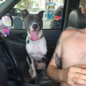 Meet your Posher, Rose