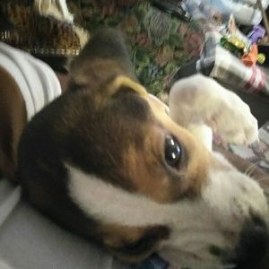 Meet your Posher, Adair