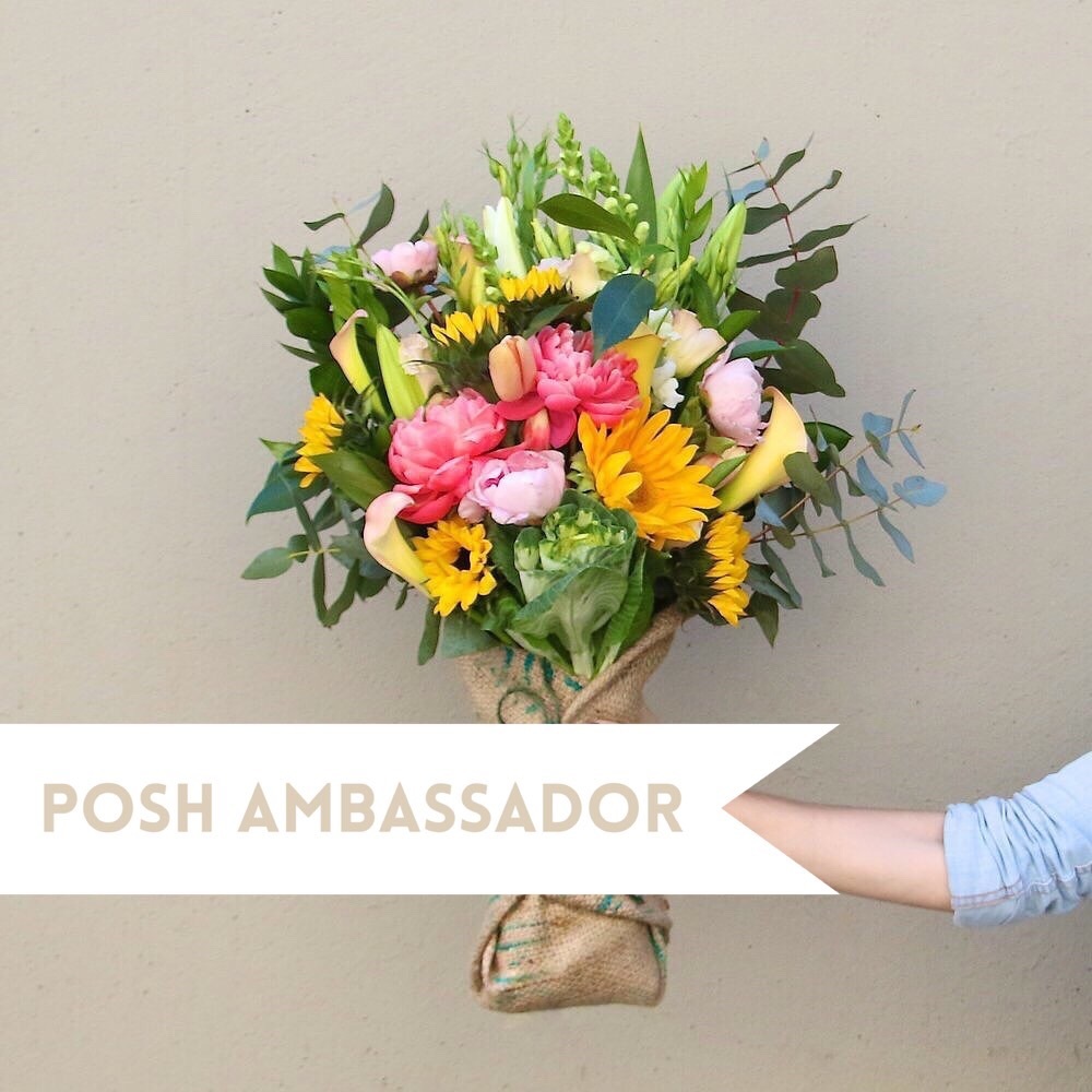 Meet Your Posher!