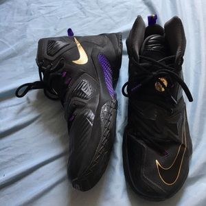 Lebron 13s