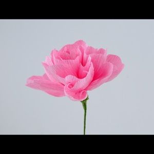 Meet your Posher, Paula