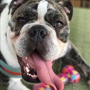 Meet your Posher, Candace