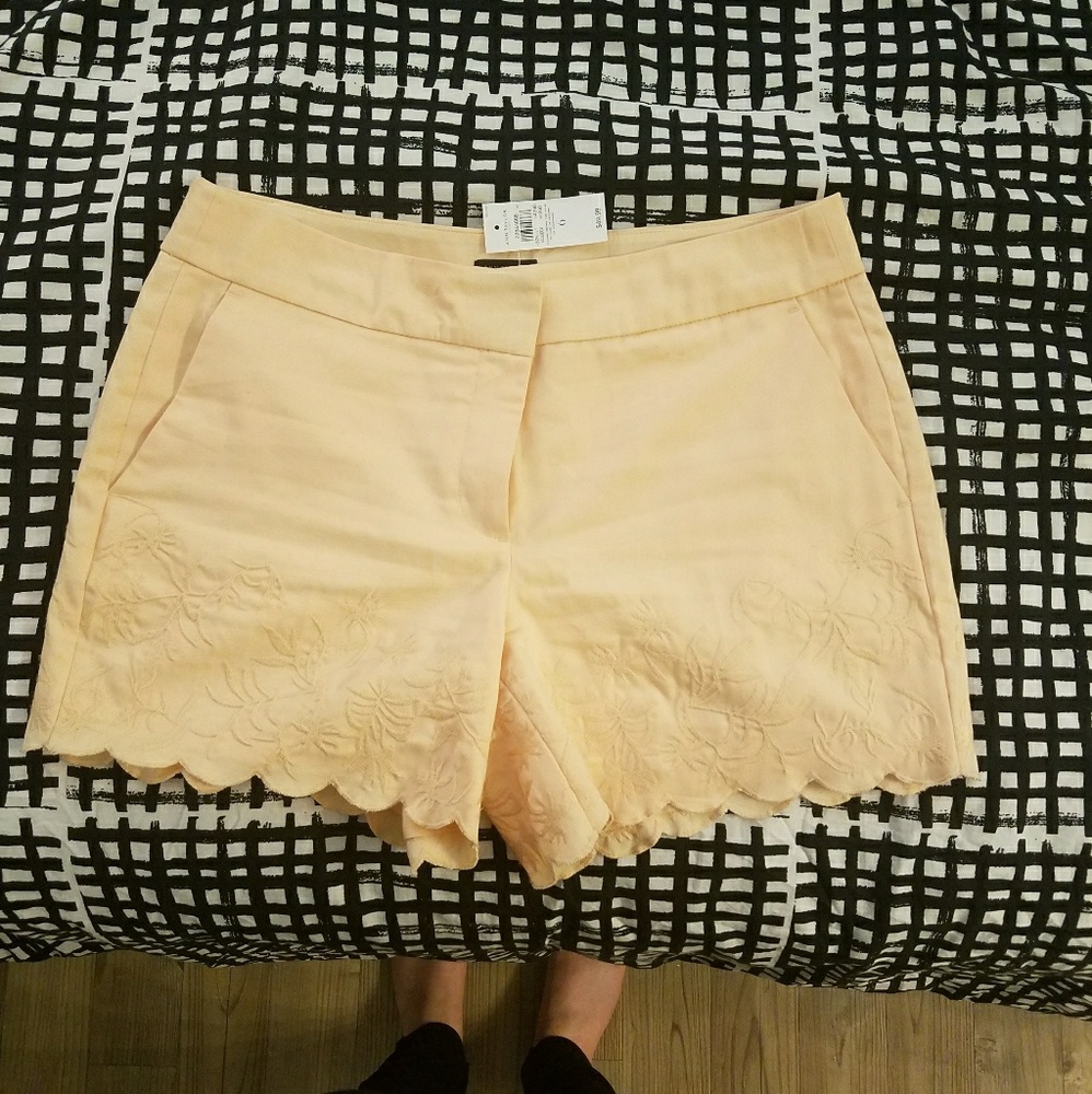 Ann Taylor shorts