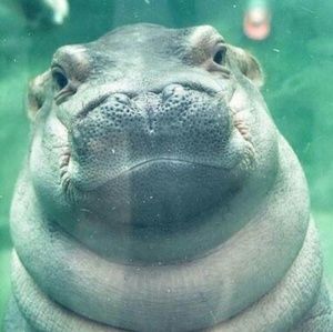 Meet your Posher, Mariel