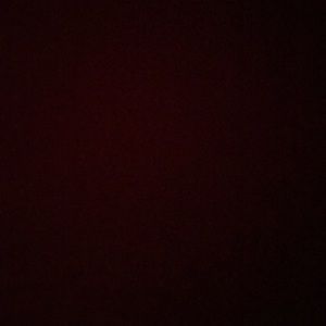 Meet your Posher, Pat