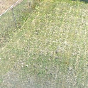 Meet your Posher, Arthur