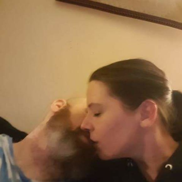 Meet your Posher, Daniel - Picture 1 of 1