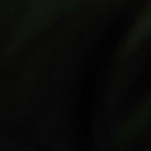 Meet your Posher, Faithia