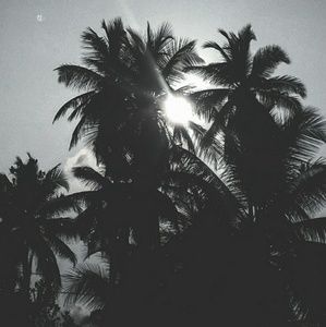 Meet your Posher, Natasha