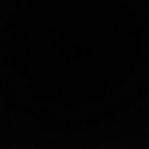 Meet your Posher, Malik