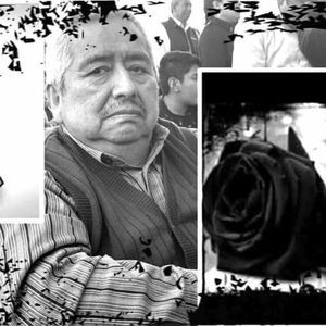 Meet your Posher, Luis