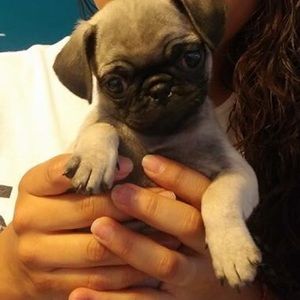 Meet your Posher, Camila