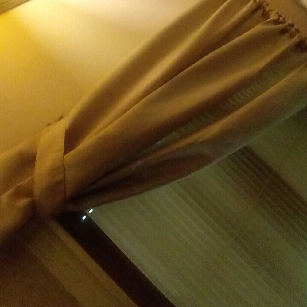 Meet your Posher, Gracie