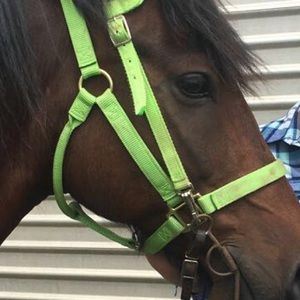 Meet your Posher, Maria