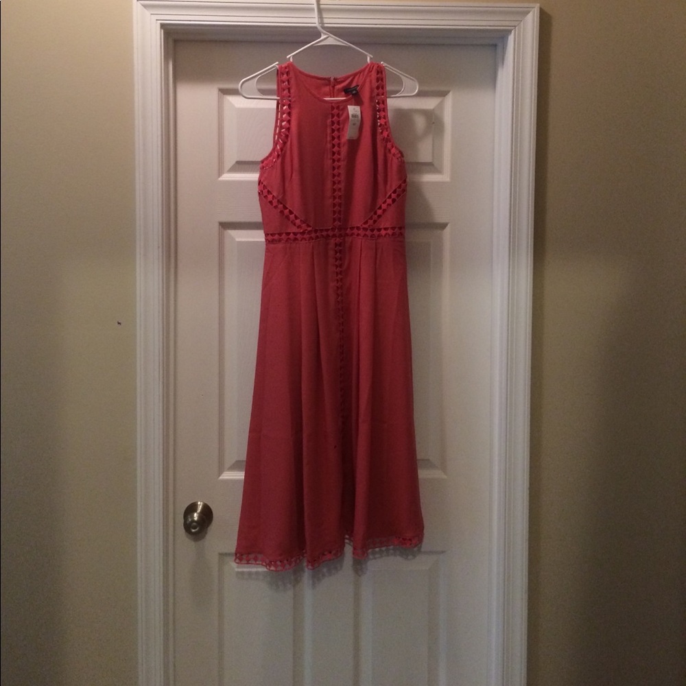 Ann Taylor Dress