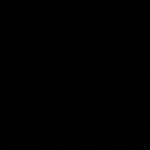 Meet your Posher, Abraham