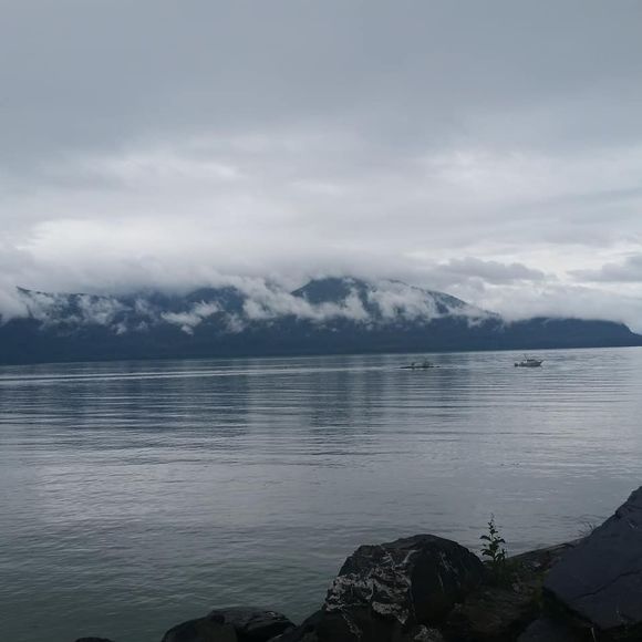 Meet your Posher, Heather - Picture 1 of 1