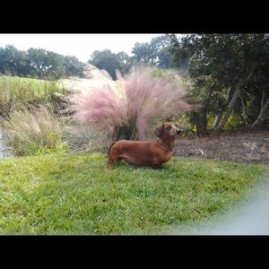 Meet your Posher, Debra