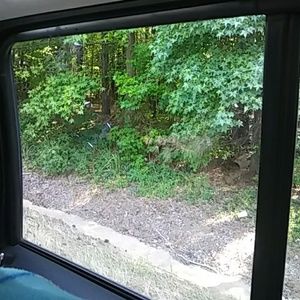 Meet your Posher, Janette