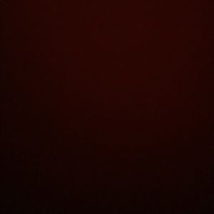 Meet your Posher, Mayra