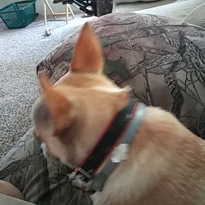 Meet your Posher, Beth