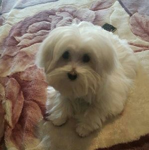 Meet your Posher, April