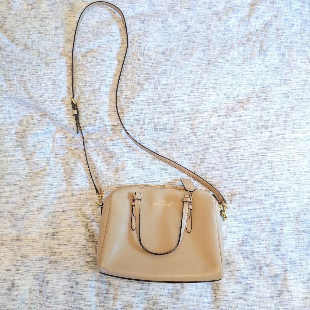 Coach bag (pale taupe)