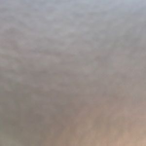 Meet your Posher, Kelli