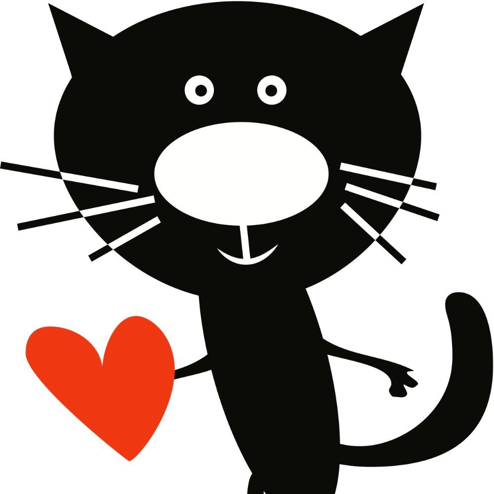 Meet your Posher, Kitten Rescue