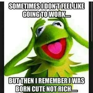 Meet your Posher, Karen