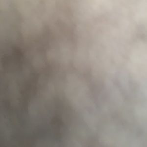 Meet your Posher, Rose