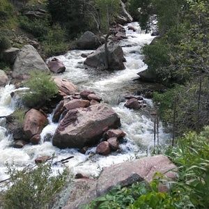 Meet your Posher, Griselle