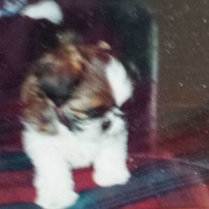 Meet your Posher, Paula