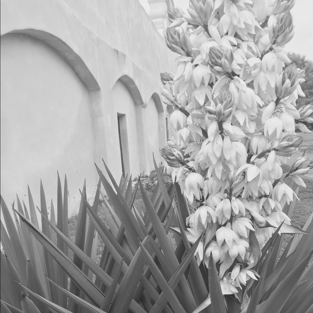 Meet your Posher, Myrtle