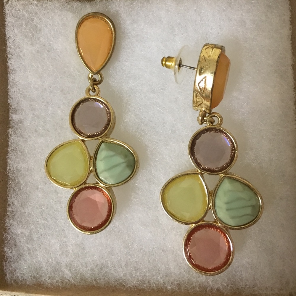 Multi-color post earrings! Never worn!