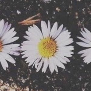 Meet your Posher, Charisma