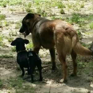 Meet your Posher, Theresa