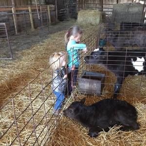 Meet your Posher, Regina