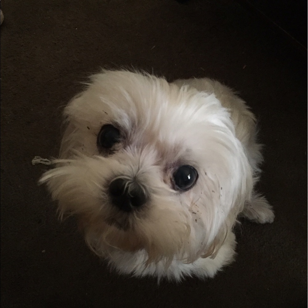 Meet your Posher, Cyndi