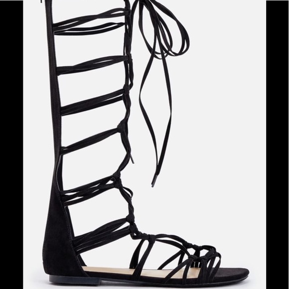 gladiator sandals shoedazzle