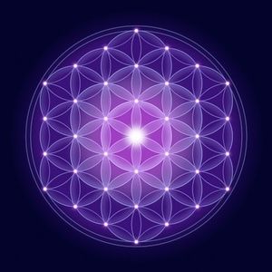 Meet your Posher, Skylar