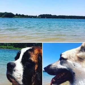 Meet your Posher, Kris